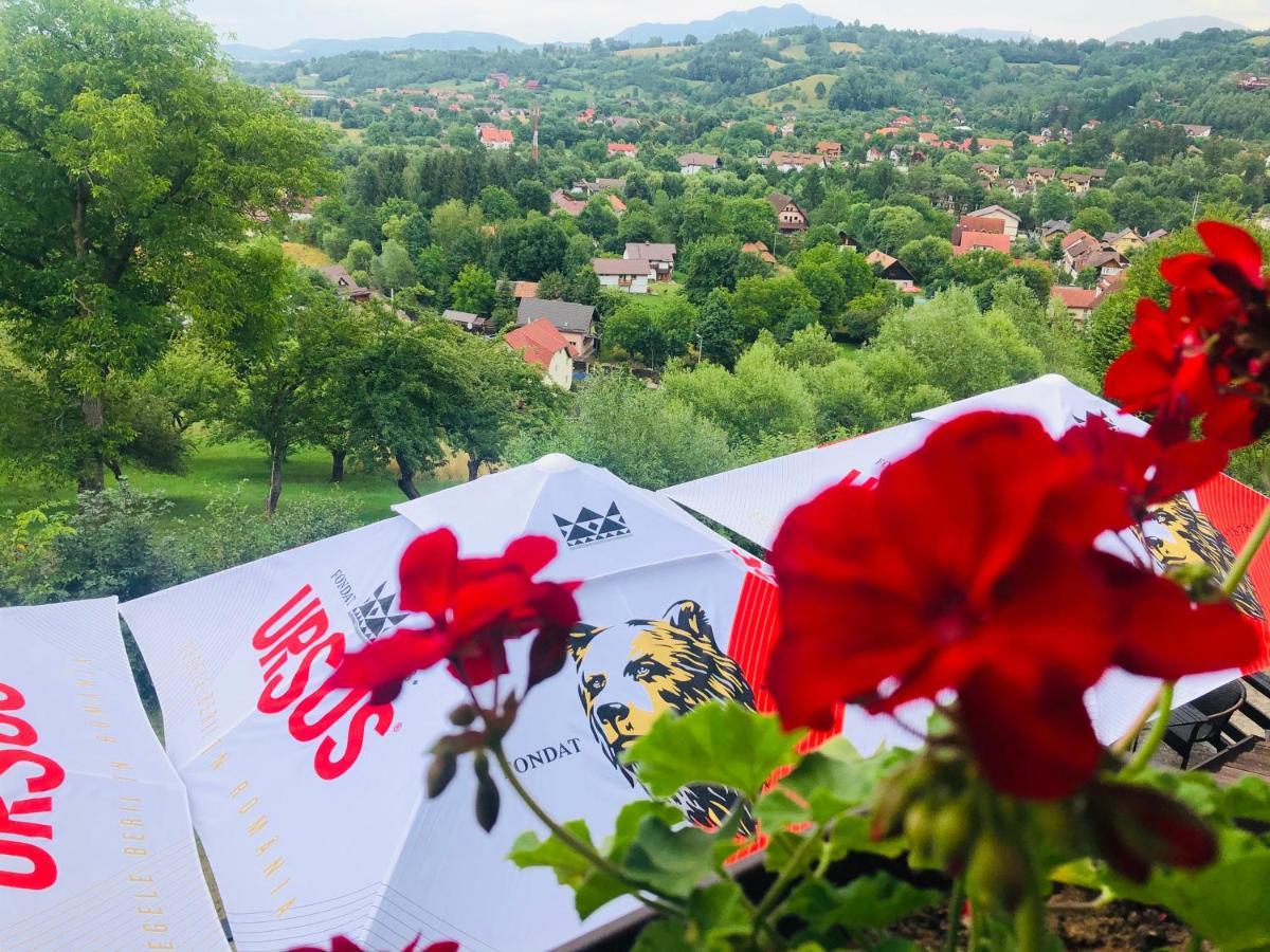 Pensiunea Ursulet Bran Bran  Esterno foto