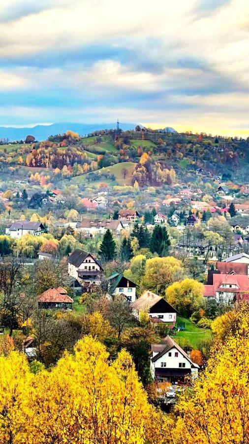 Pensiunea Ursulet Bran Bran  Esterno foto