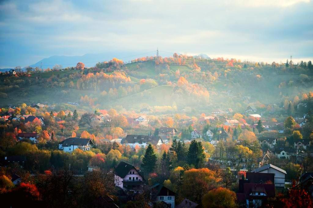 Pensiunea Ursulet Bran Bran  Esterno foto